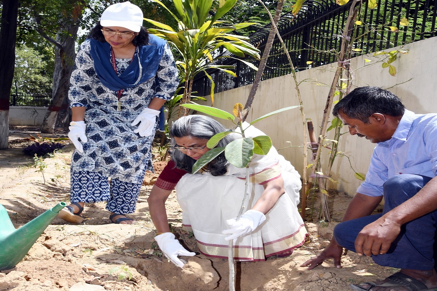 secretary madam and add. Sec madam doing plantation drive on occasion of swachhata pakhwada